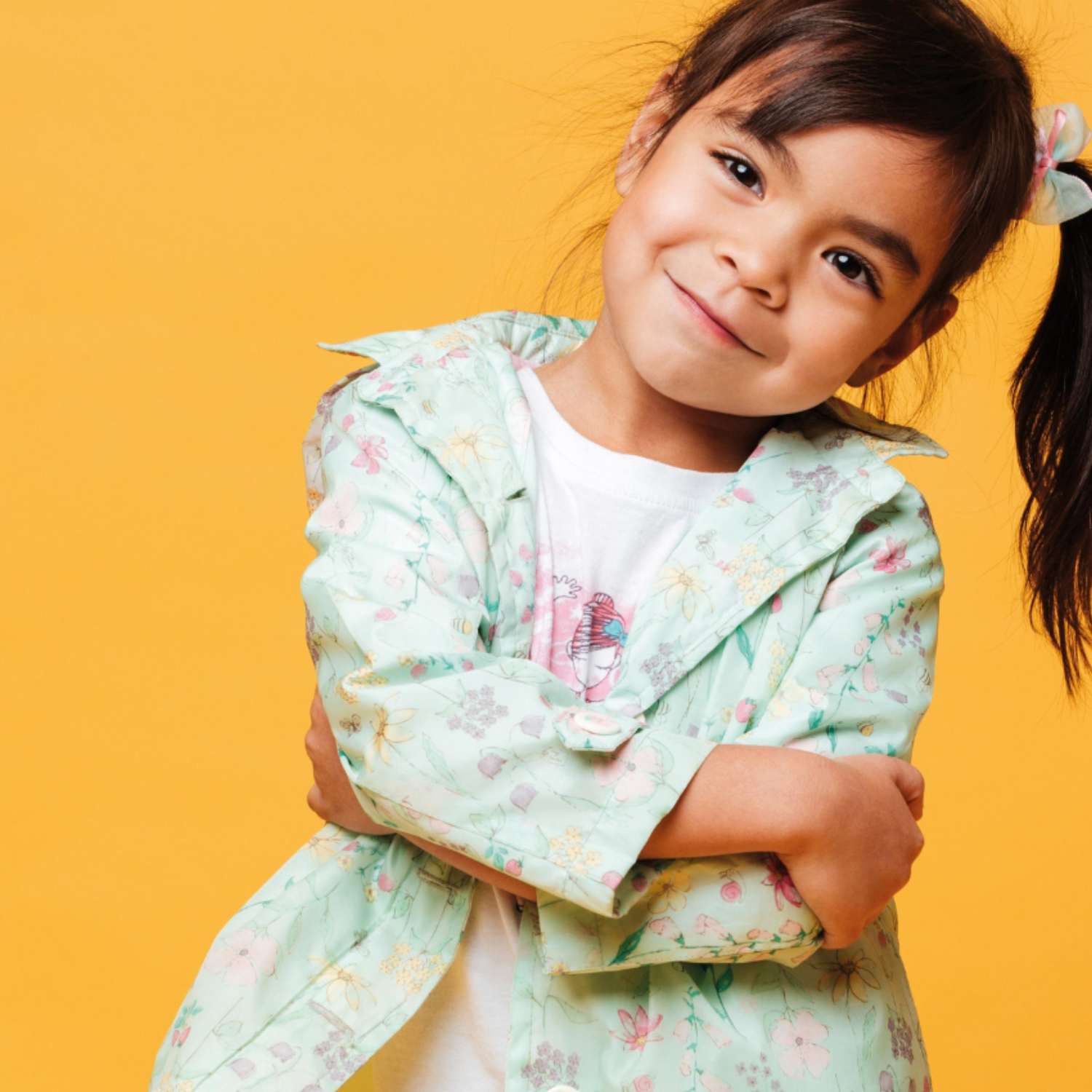 Signal Dove Education