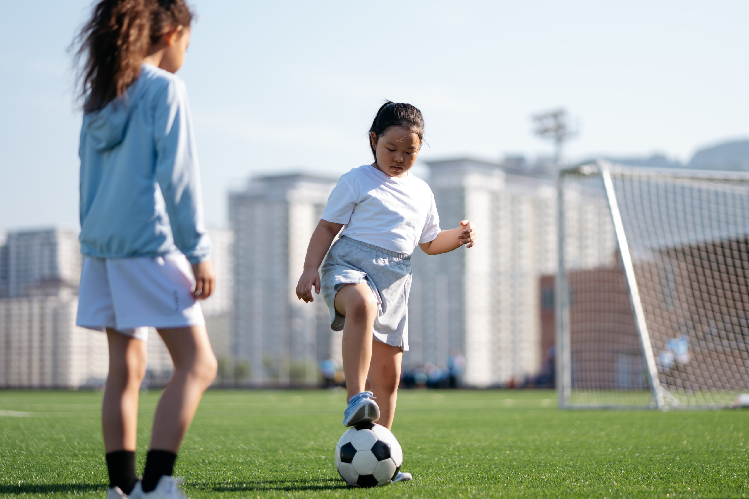 Signal Dove Education