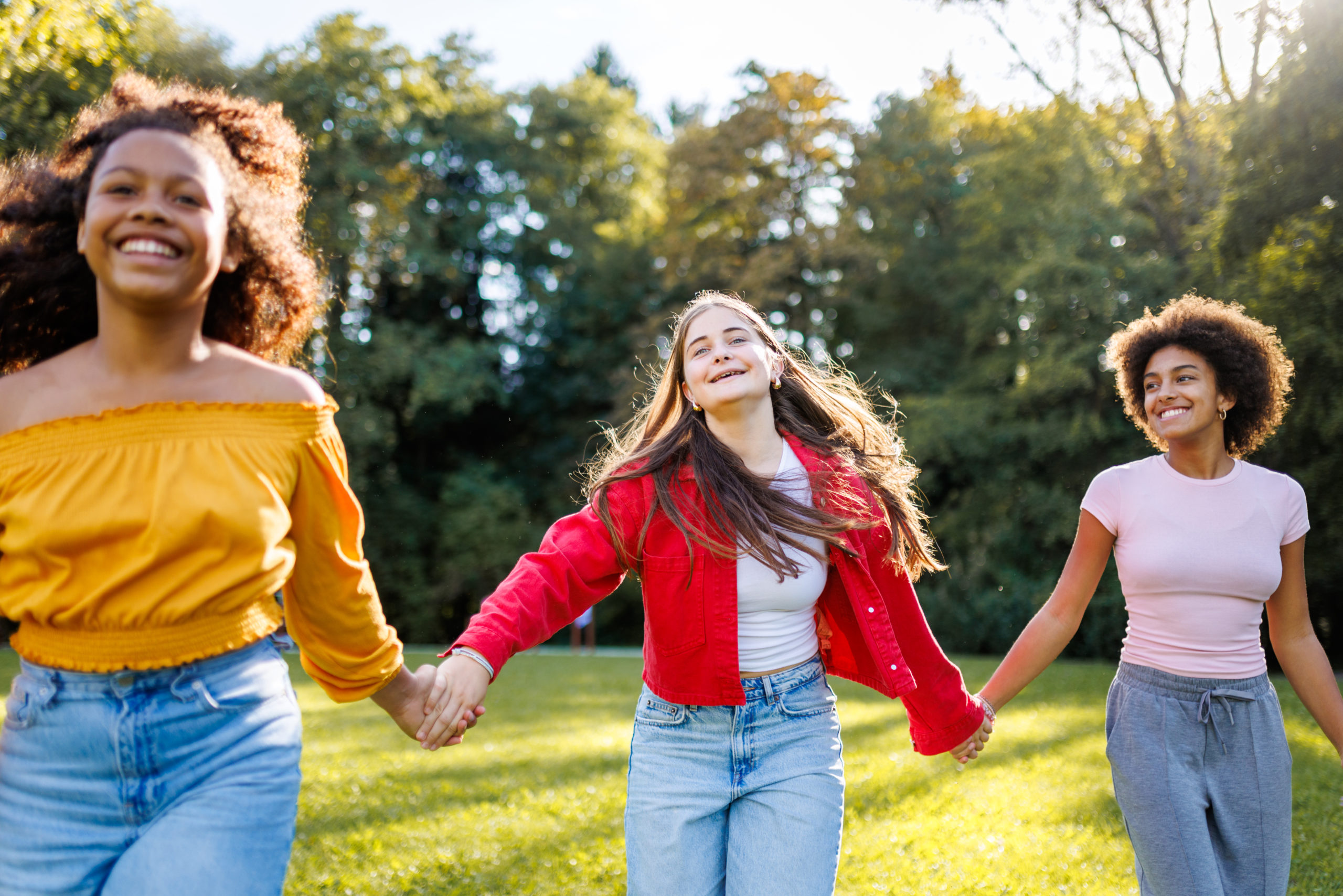 Signal Dove Education