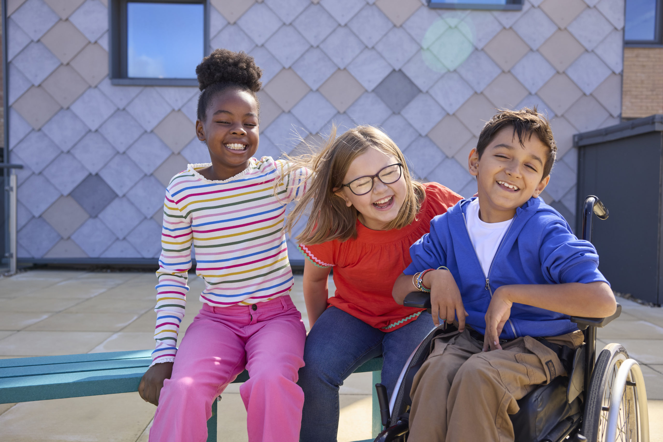 Signal Dove Education