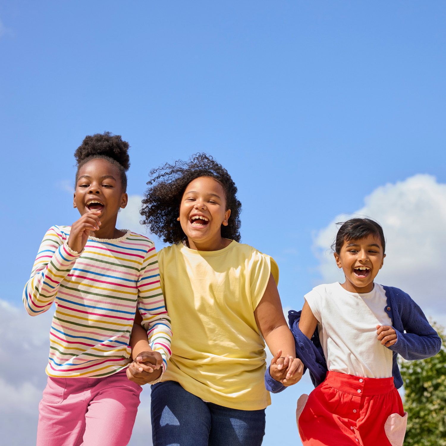 dove signal (1) Signal Dove Education